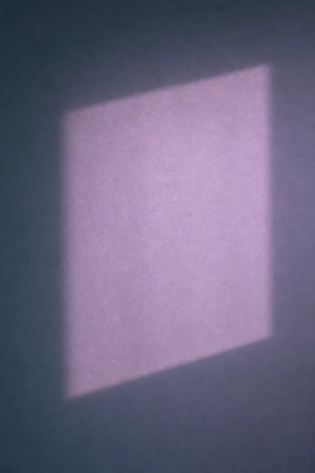 Lilac light falling through a window onto a plain wall