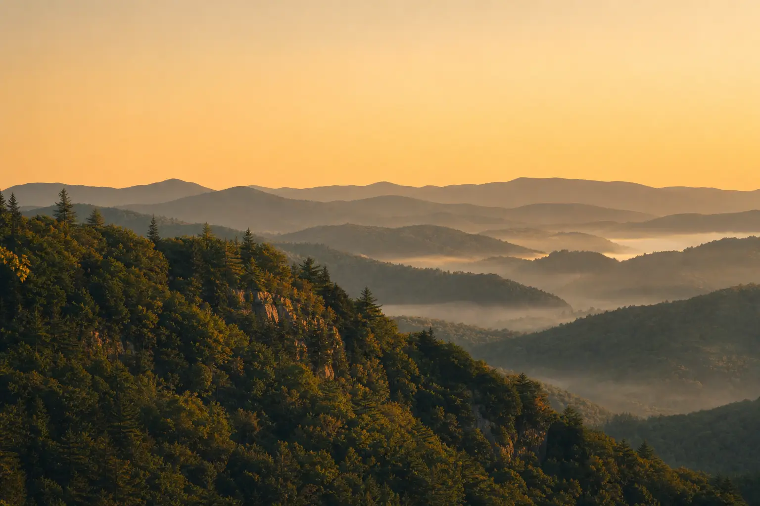 A green ridge line under low amber evening light