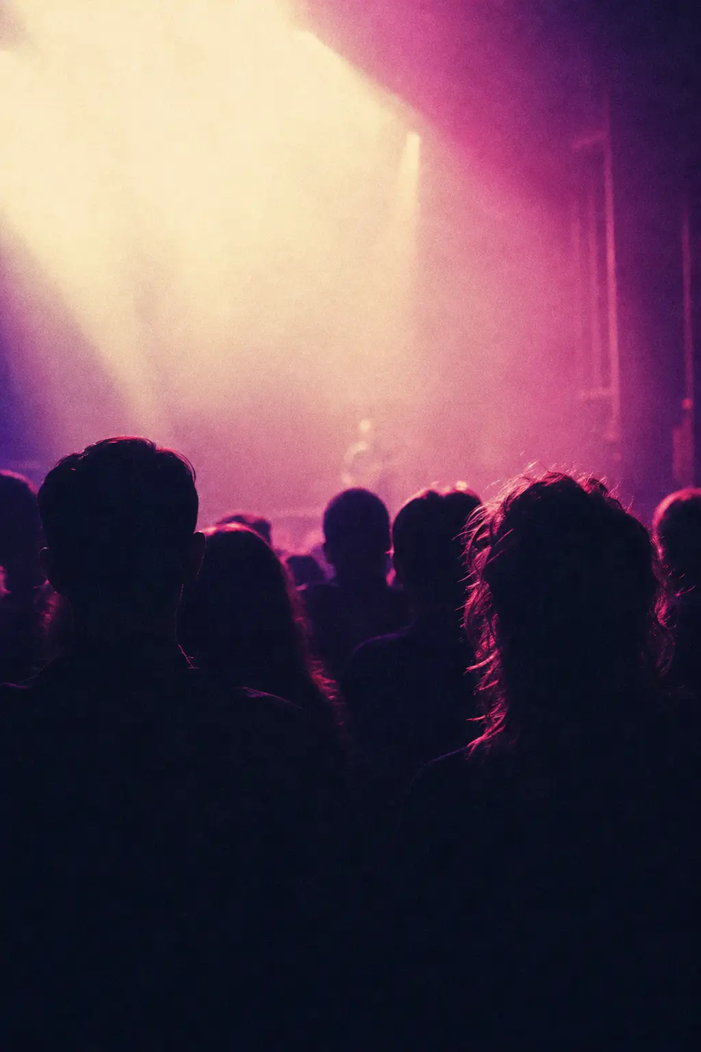 A dark crowd lit from behind in magenta